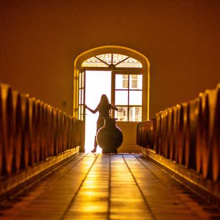 Ouverture du Chai - Château Phélan Ségur